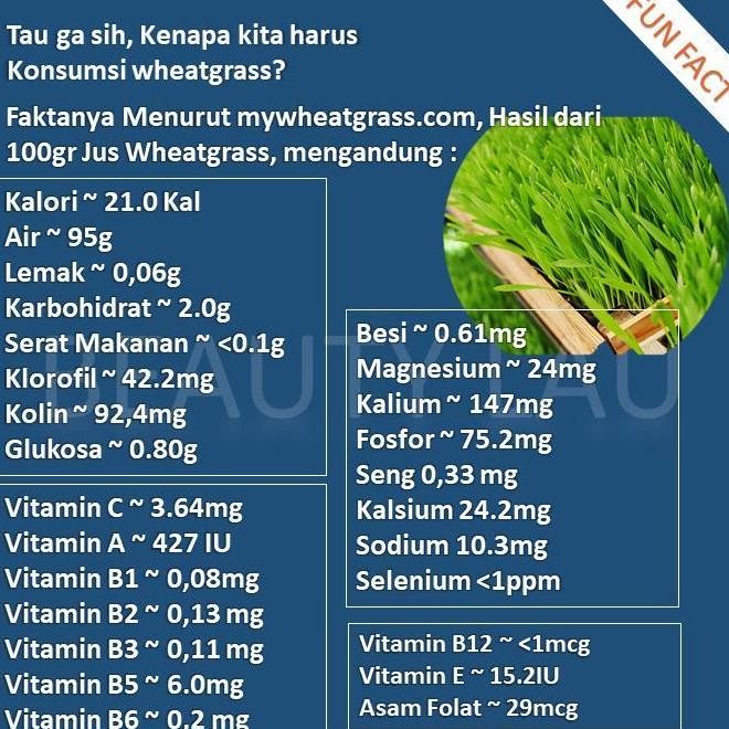 

Terlaris 100% New Benih Wheatgrass 1Kg Bibit Rumput Gandum Untuk Kucing Biji Wheat Grass Happy Shoping