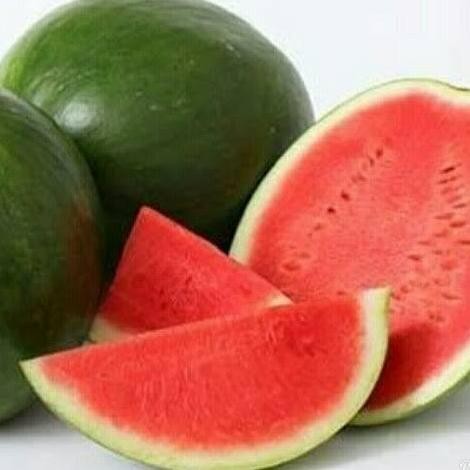 

SEMANGKA TANPA BIJI (4,5-5 KG) TERMURAH