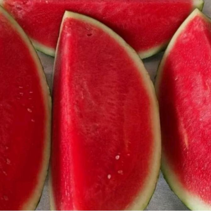 

SEMANGKA MERAH MANIS NON BIJI SEGAR SEHAT. TERMURAH