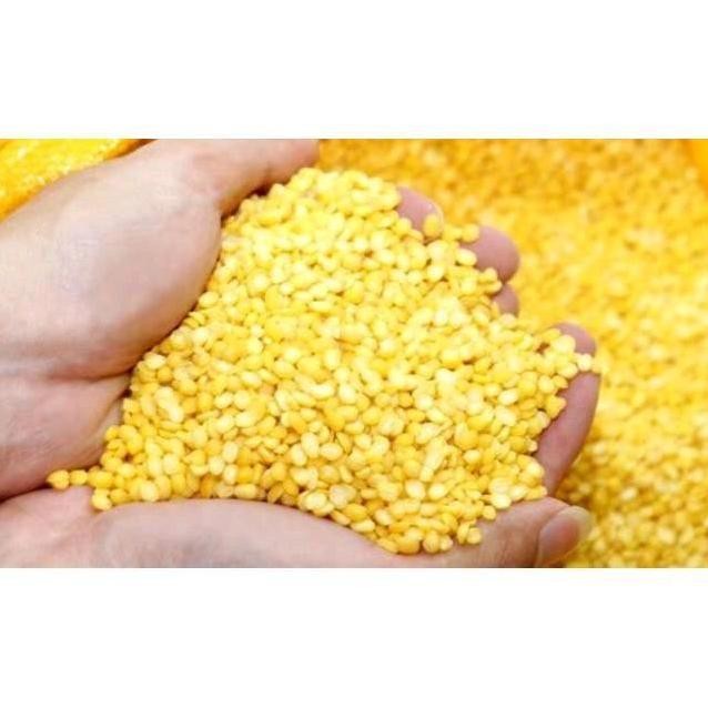 

Terlaris Kacang Hijau Kupas 250Gr Higienis Kualitas Pilihan