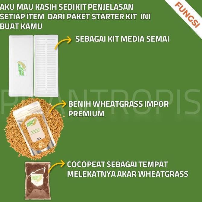 

Terlaris 100% New Paket Lengkap Starter Kit Benih Wheatgrass Bibit Rumput Gandum Kucing Happy Shoping