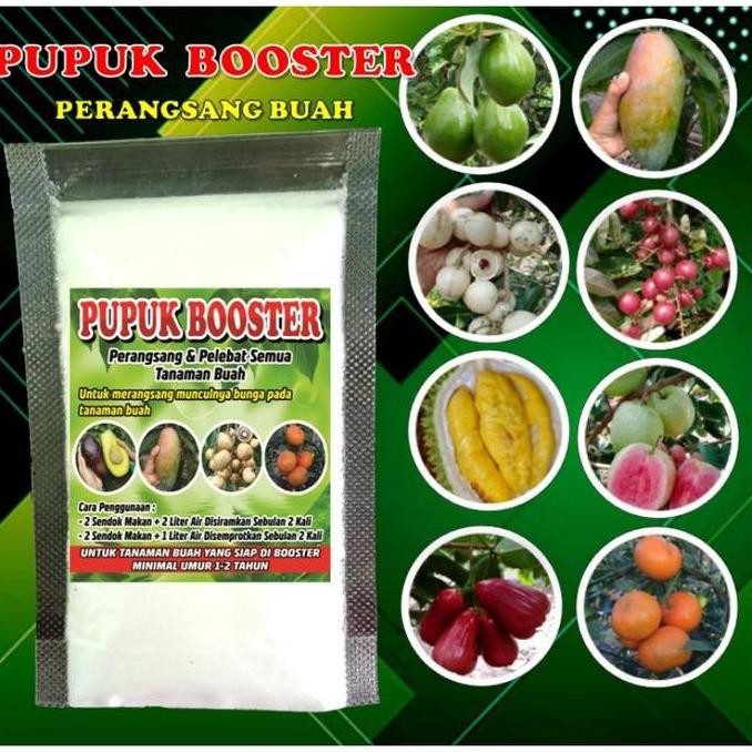 

Pupuk Booster Murni Dan Pelebat Semua Tanaman Buah