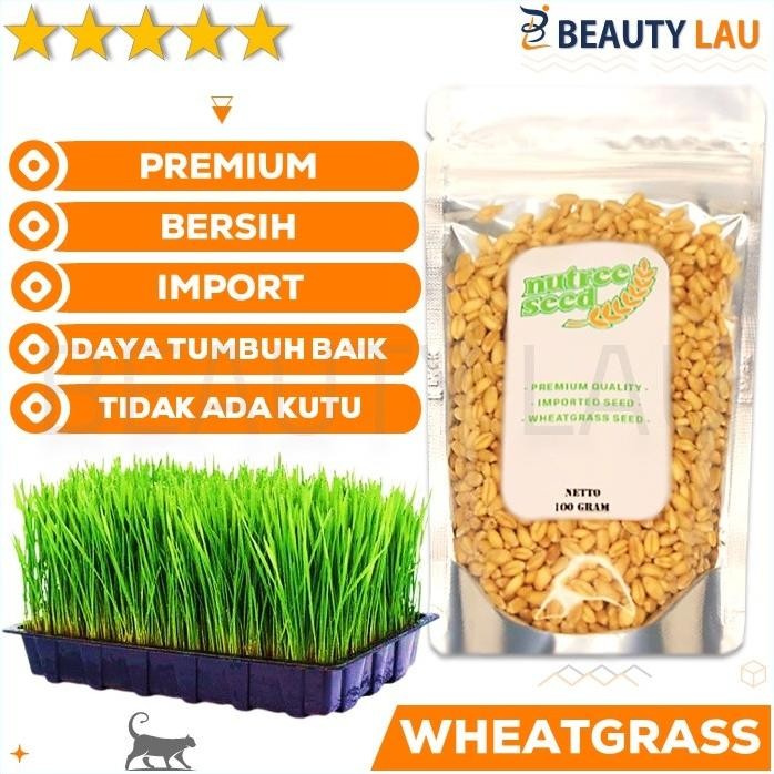 

Terlaris Benih Wheatgrass 100Gr Bibit Rumput Gandum Biji Cat Grass Microgreen