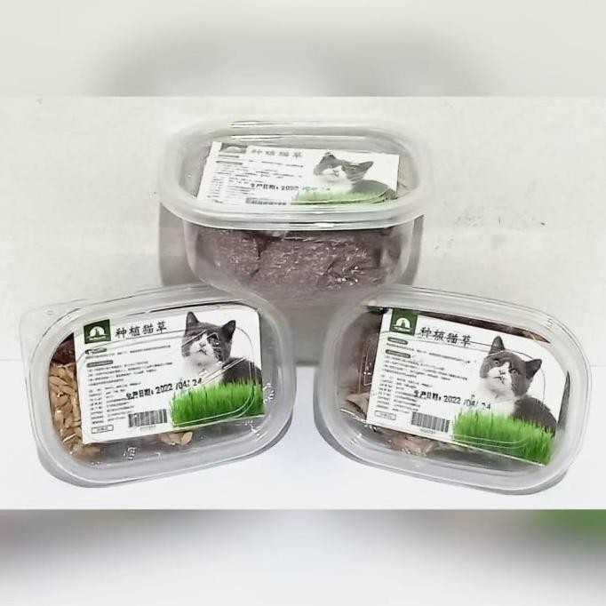 

Terlaris Paket Lengkap Rumput Gandum Benih Kucing