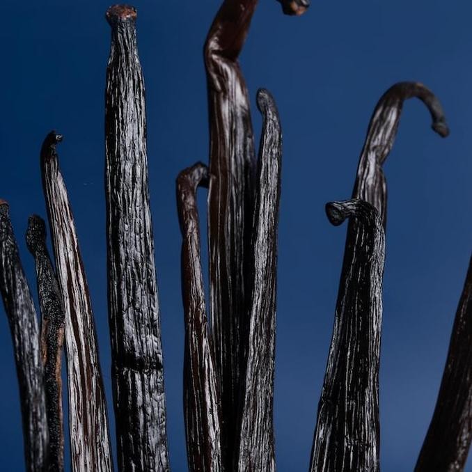 

VANILLA BEANS PLANIFOLIA GRADE SUPER GOURMET (BIJI VANILA 100%ORGANIK) TERMURAH