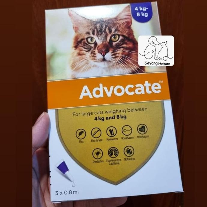 Advocate Cat Obat kutu Kucing 4kg-8kg LARGE
