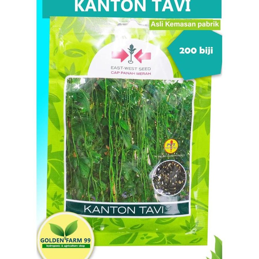 

BENIH KACANG PANJANG KANTON TAVI ISI 200 BIJI - CAP PANAH MERAH, TAHAN VIRUS MYMIV DAN LAYU FUSARIUM - HIJAU TERMURAH