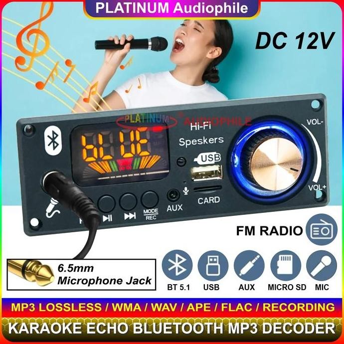 Modul MP3 Decoder Bluetooth Karaoke echo Recording Multimedia Trolley Speaker JQ-D160BT