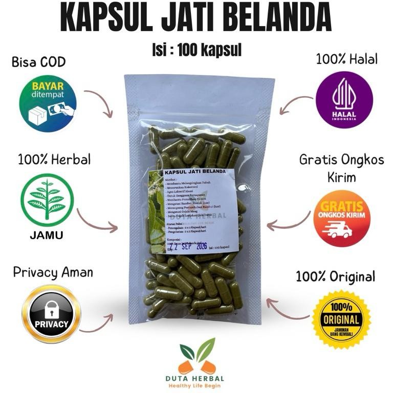 KAPSUL JATI BELANDA PELANGSING ALAMI ISI 100 ASLI HERBAL