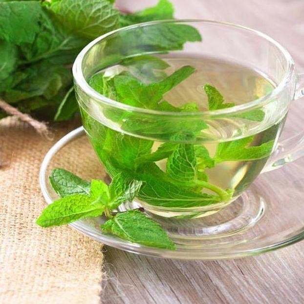 

Terlaris (5 Butir) Bibit Benih Daun Mint