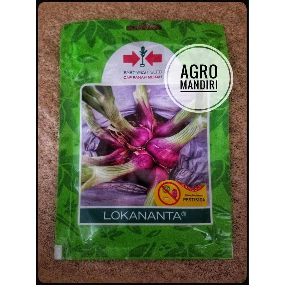 

Terlaris Bibit Bawang Merah Lokananta 800 Butir Benih Kemasan Small Pouch Asli Pabrik Cap Panah Merah