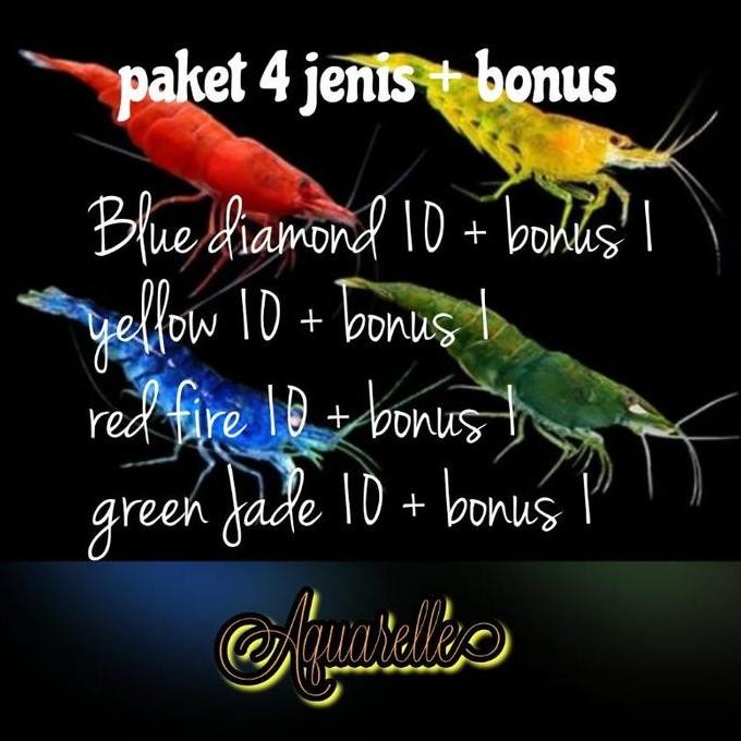 Terlaris Paket Udang Hias Hiasan Aquarium Aquascape + Bonus Murah