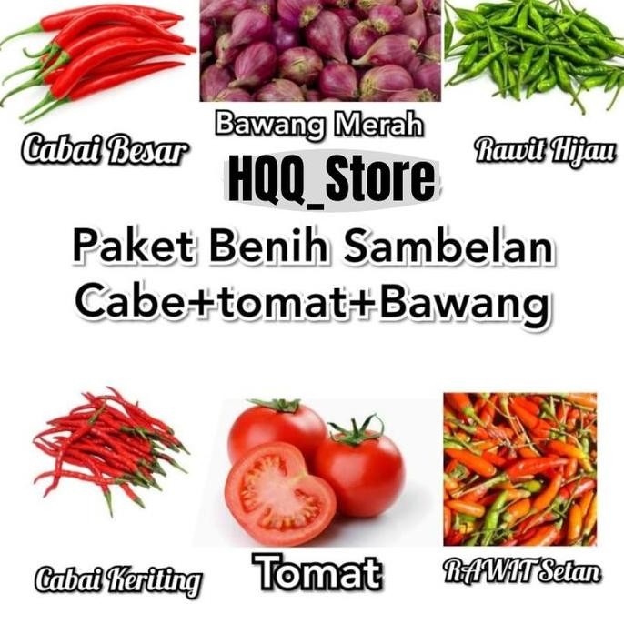 

Terlaris Benih Bibit Tanaman Sambelan Bawang Merah Cabai Tomat Paket Hemat 6