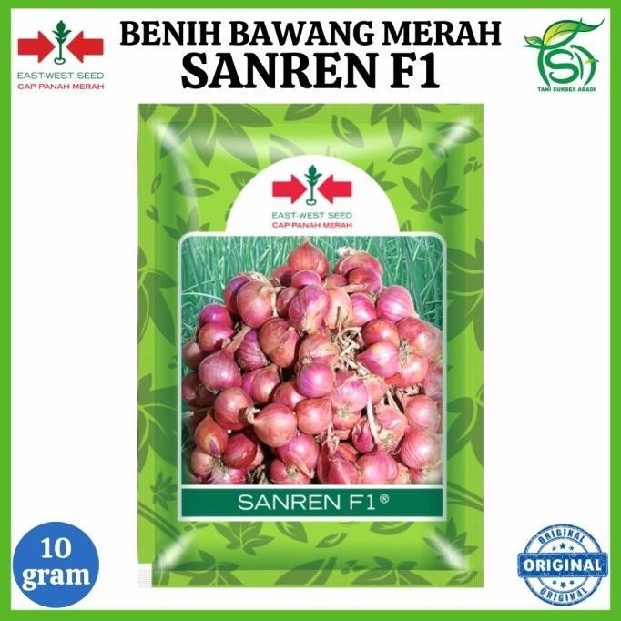 

Terlaris Benih Bawang Merah Sanren F1 (10 Gram) - Bibit Cap Panah Merah 10 Gr