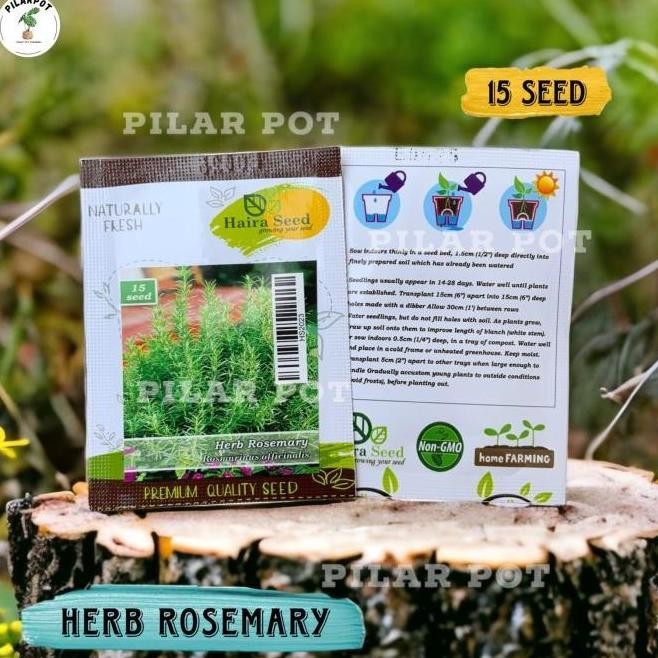 

Terlaris Benih Bibit Herba Rosemary Rosmarinus Haira Seed - Herb Rosemary