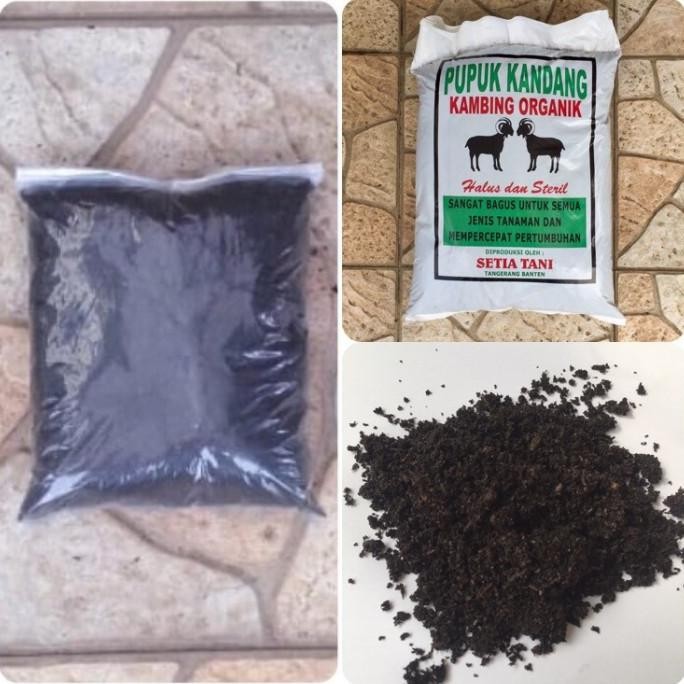 

Terlaris Repack Pupuk Kandang Kambing Organik Halus Dan Steril Mempercepat
