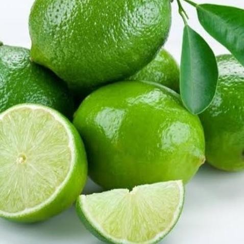 

Terlaris Bibit Tanaman Buah Jeruk Nipis/Jeruk Peras. Laris