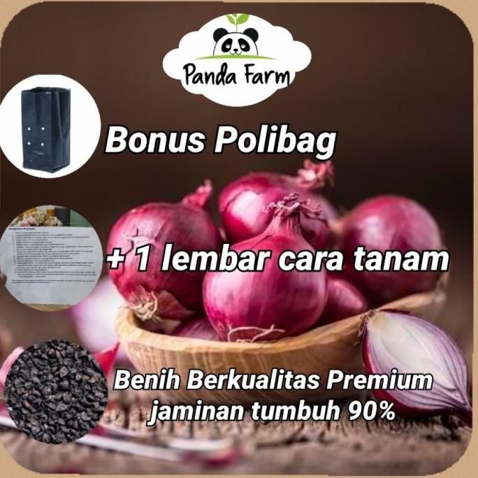 

Terlaris Isi 20 Benih Biji Bibit Bawang Merah Lokal Unggul Berkualitas