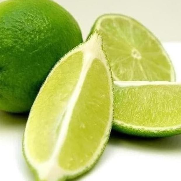 

Terlaris Premium Teercayaa O0 Bibit Pohon Buah Jeruk Nipis - Tanaman Jeruk