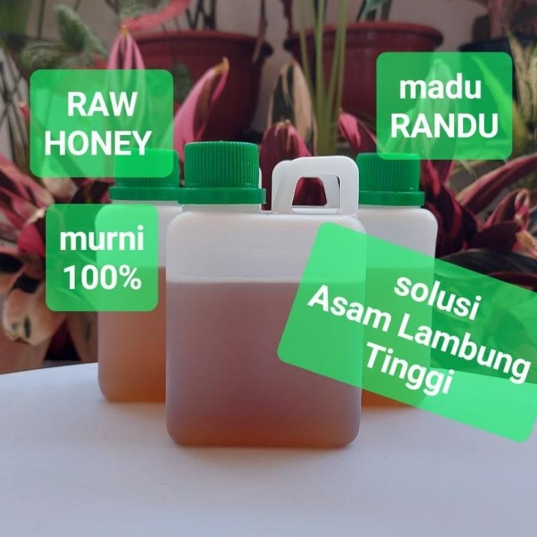 

Madu Randu Asli | Polos 1/2kg | NO TIPU-TIPU | Raw Honey | Harga Grosir AST nUg