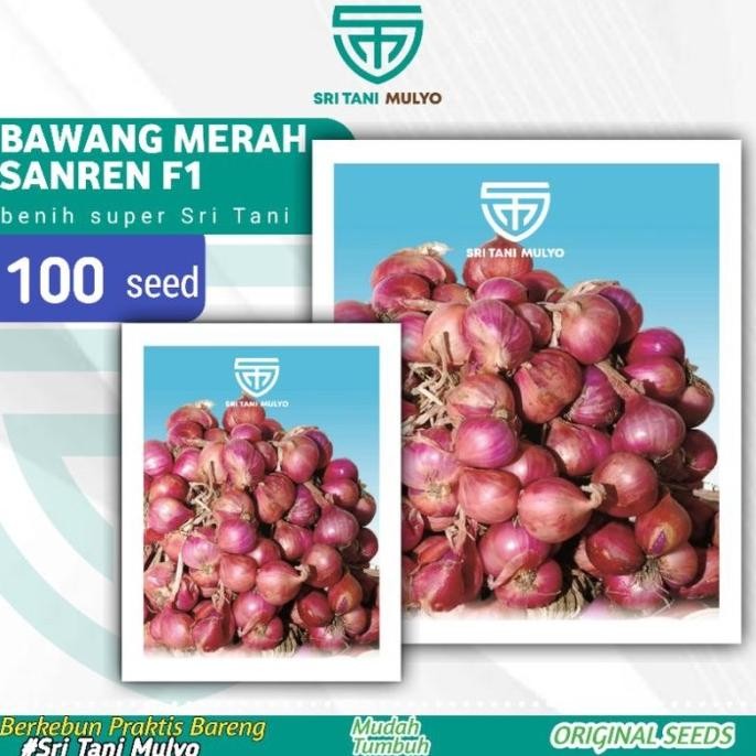 

Terlaris Panah Merah 100 Biji - Benih Bawang Merah Sanren F1 - Bibit Sayuran -