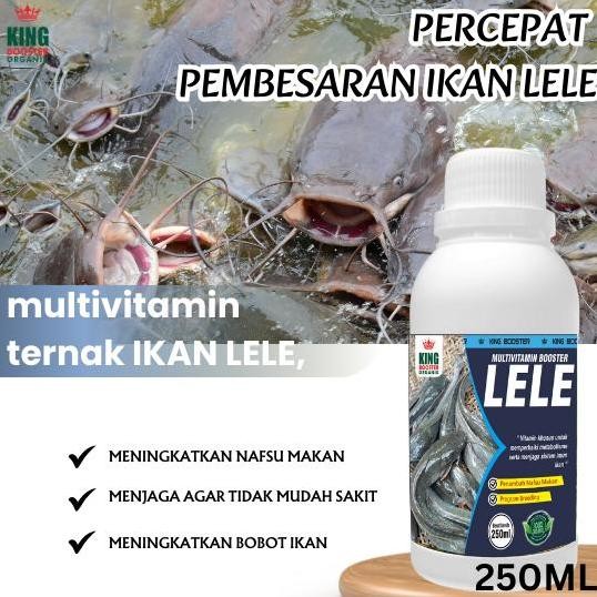 

Terlaris Suplemen Cair Ikan Lele, Vitamin Ikan Lele Agar Cepat Besar 250Ml Probiotik Pemacu Pertumbuhan Ikan Lele Terlaris Produk Original