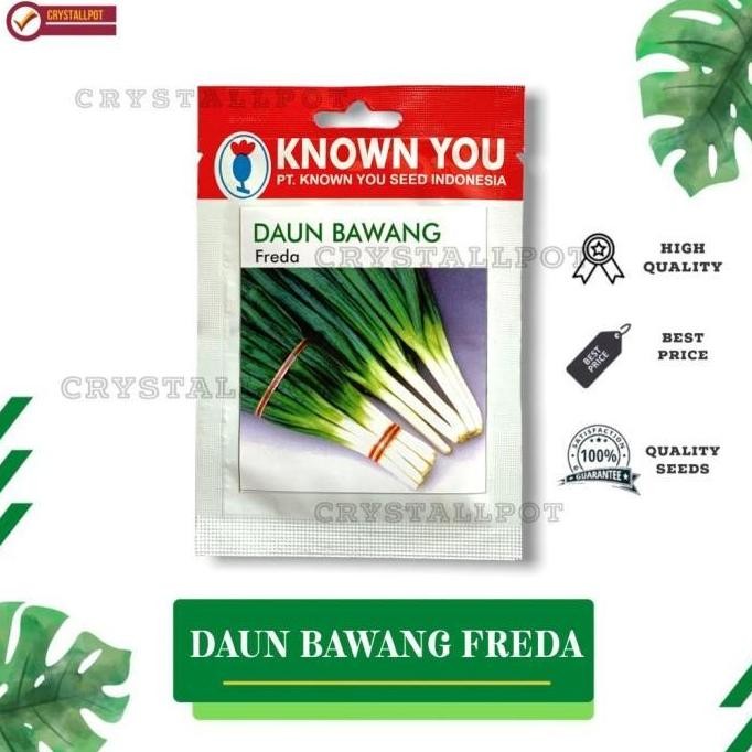

Terlaris Ankn Benih Bibit Daun Bawang Freda Known You Seed - Kys Freda Kemasan Merah