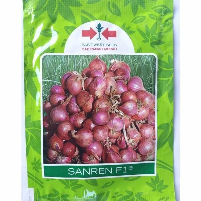 

Terlaris 100% New Benih Bawang Merah Sanren F1 (10 Gram) - Bibit Cap Panah Merah 10 Gr Happy Shoping