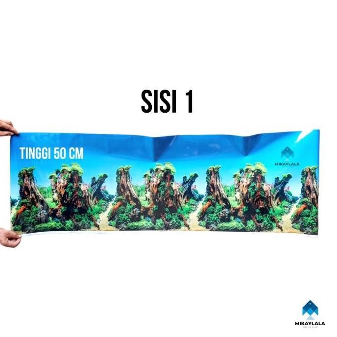 Terlaris Background Gambar Hiasan Tinggi 50 Cm Aquarium Panjang 1 Meter