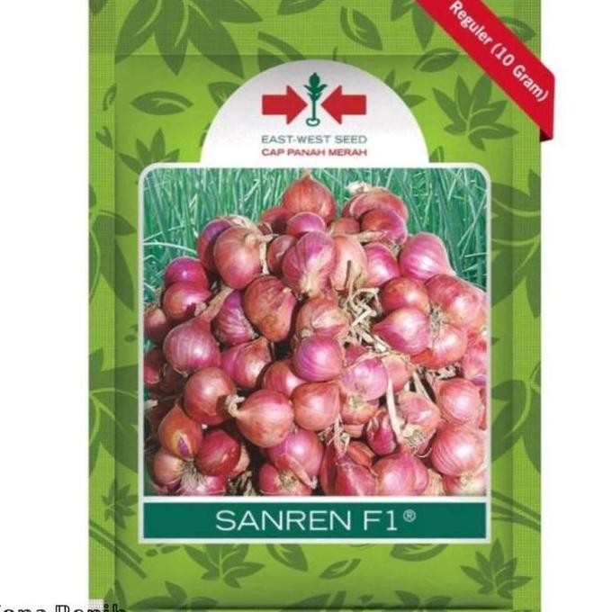 

Terlaris (-) Bibit Bawang Merah Sanren F1 Isi 10 Gram. Benih Bawang Merah
