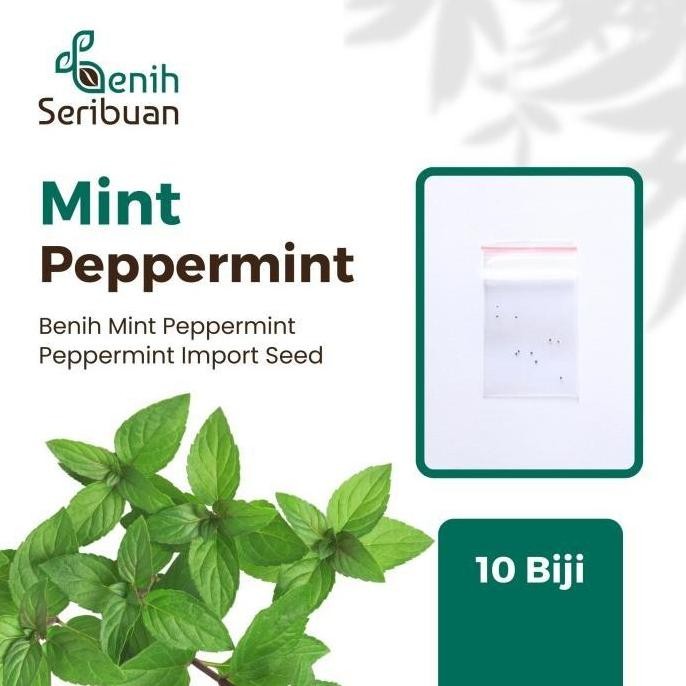 

Terlaris 10 Benih Daun Mint Bibit Herb Peppermint Leaf Herbal Premium Import