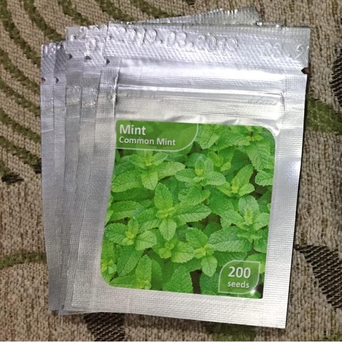 

Terlaris Jtt'' Benih Bibit Daun Mint Common Mint