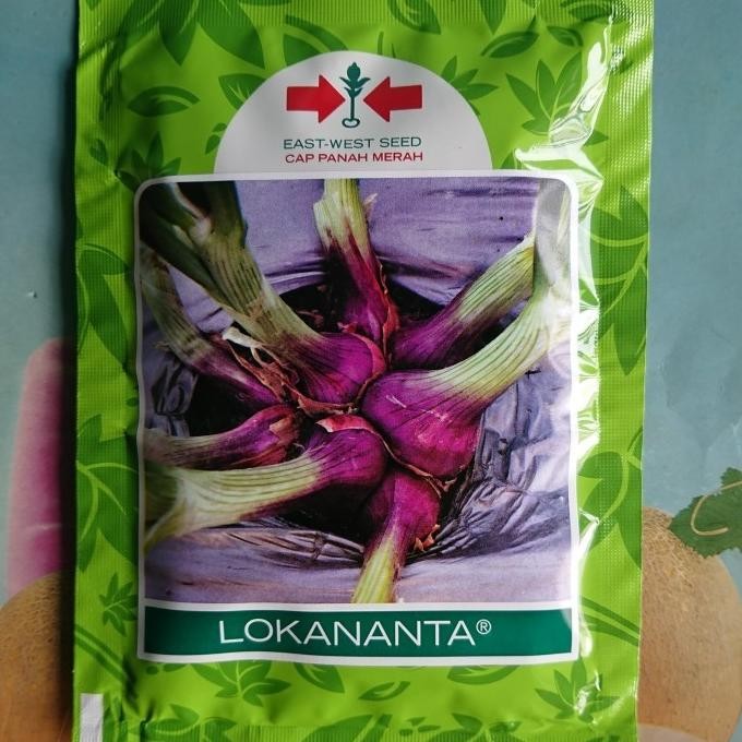 

Terlaris Benih Bibit Bawang Merah Lokananta 50Gr Tbk