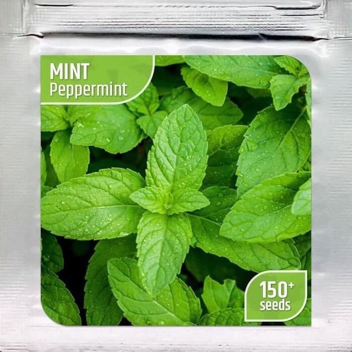 

Terlaris Jtt'' Benih Bibit Daun Mint Peppermint