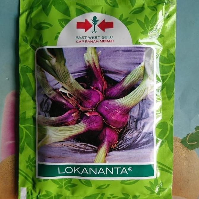 

Terlaris Best Seller_ Benih Bibit Bawang Merah Lokananta 50Gr _Store Beti