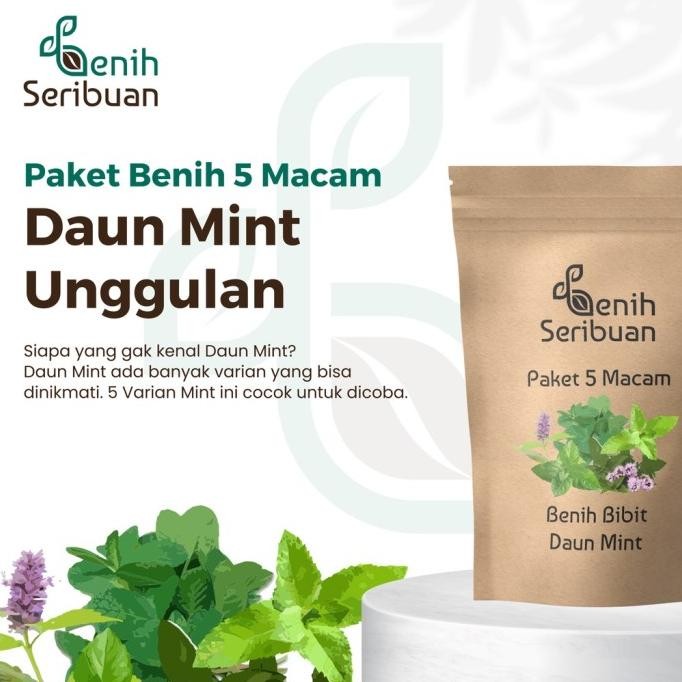 

Terlaris Benih Seribuan - Paket 5 Macam Bibit Daun Mint Unggul
