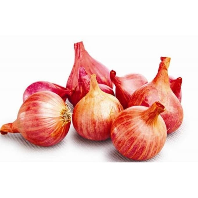 

Terlaris Dapatkan 300 Benih Bawang Merah Tuktuk F1 Tuk Tuk Bibit Lakpyi 6800Xb