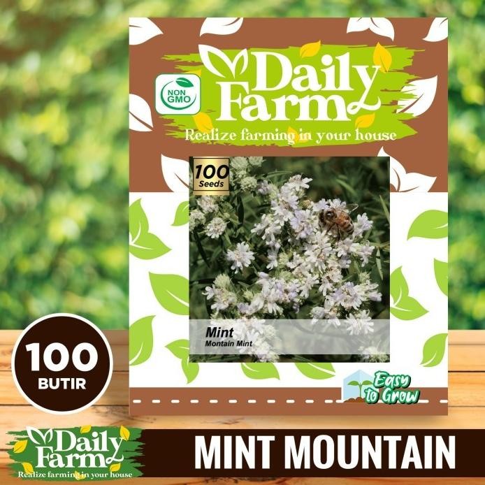 

Terlaris Daily Farm - Benih Bibit Mint Mountain Mint - Bibit Daun Mint Seed
