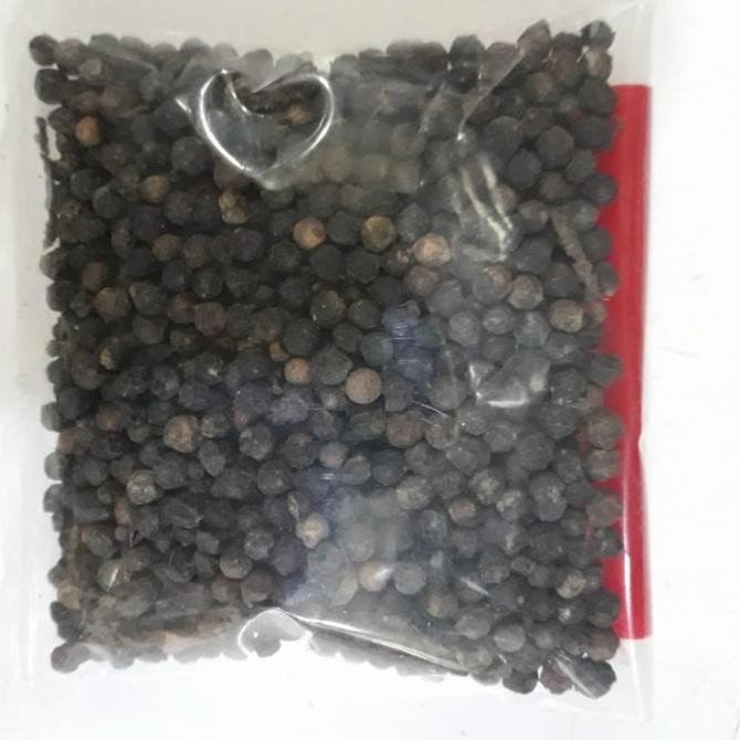 

Produk Terbaik] BLACKPAPER SEED 50 GR