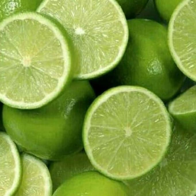 

Terlaris Bibit Pohon Jeruk Nipis