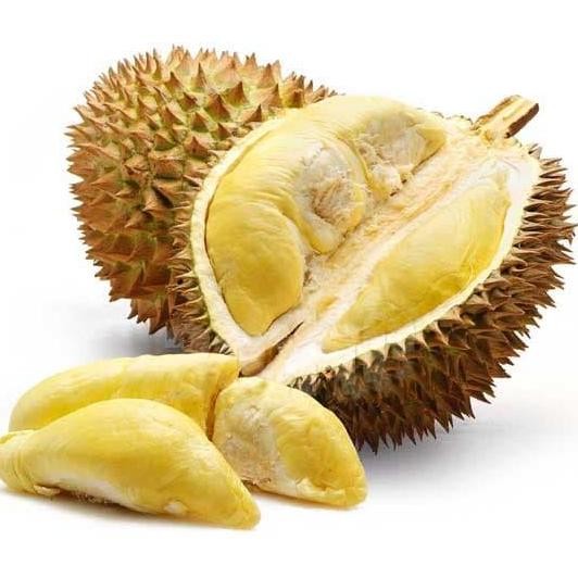 

Terlaris Bibit Pohon Durian Bawor 3 Kaki Tinggi 1 Meter Up