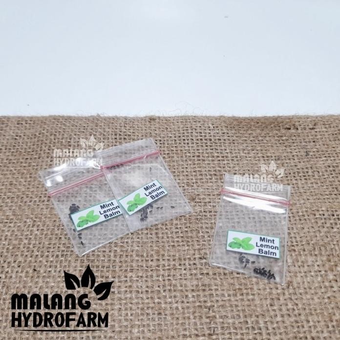 

Terlaris Ready Terlaris Benih Mint Lemon Balm Unggulan Berkualitas Biji Keriting Daun Min Herbal Bibit Hydroponik Hidroponik Sayuran Sayur