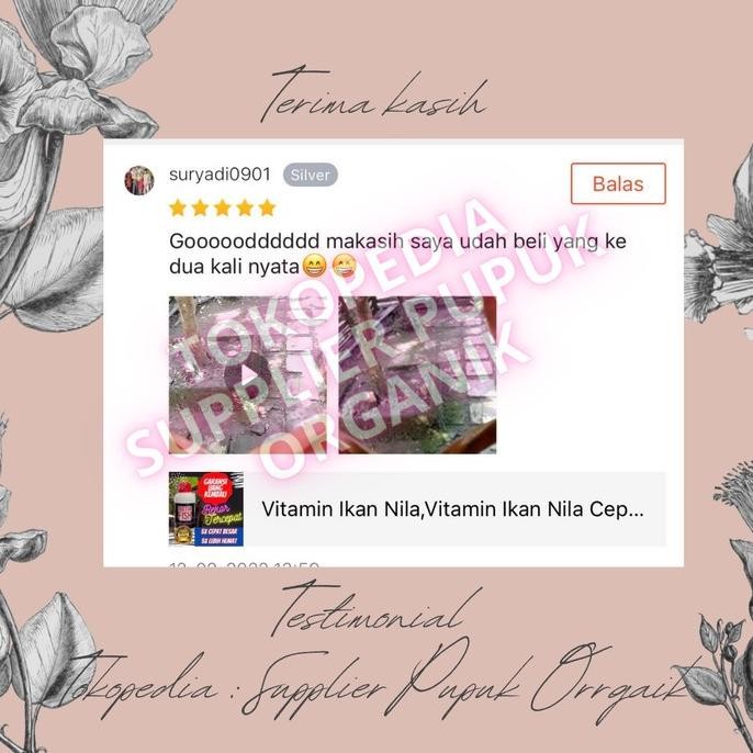 Terlaris Vitamin Penambah Nafsu Makan Ikan Nila,Obat Penambah Nafsu Makan Ikan2 Terbatas