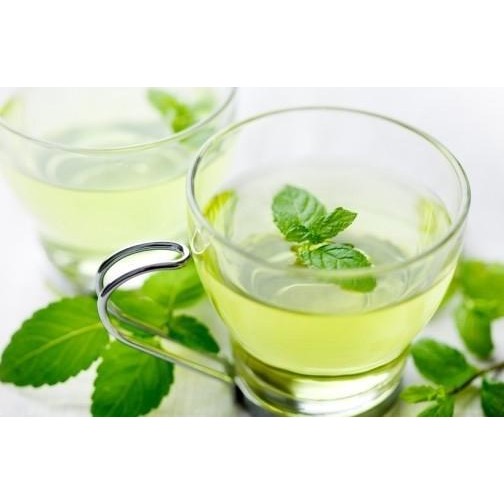 

Terlaris Bibit Tanaman Peppermint / Daun Mint