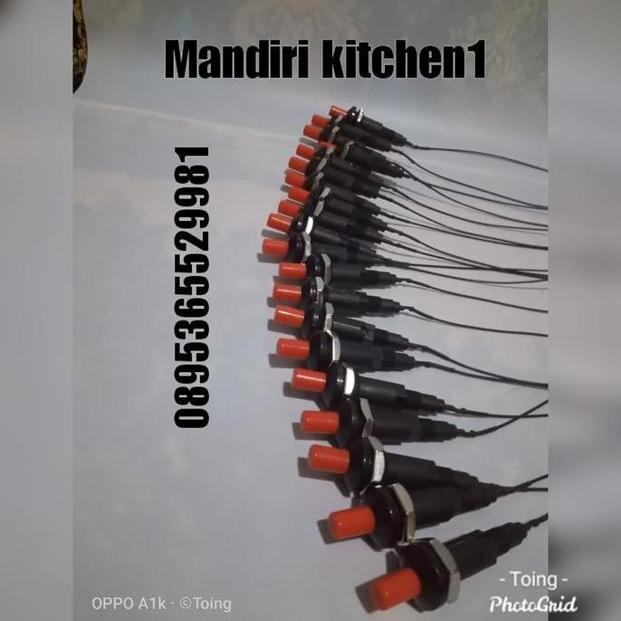 Piezo igniter / grill igniter /pemantik