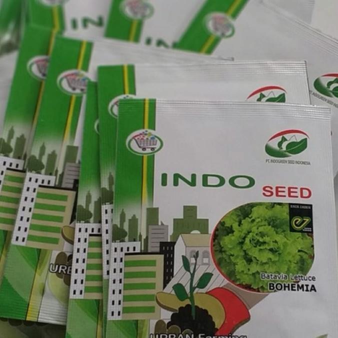 || BANANA / Benih Selada Bohemia Enza 1gr - Batavia Lettuce Kemasan Pabrik ||~~~