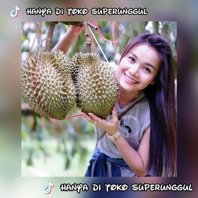 

Terlaris Bibit Durian Kaki 3 Bawor