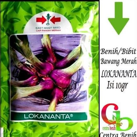 

Terlaris 10Gr Biji/Benih/Bibit Bawang Lokananta Cap Panah Merah