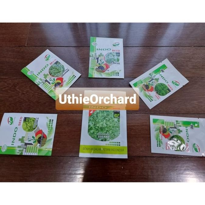 || BANANA / TERBARU Benih Indo Seed Enza Zaden - Selada Mini Romaine Xanadu 5 gr ||~~~