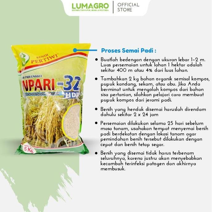 || BANANA / Benih Padi Pertiwi 5kg - Inpari 32 / Inpari 33 / Inpari 42 / Pak Tiwi1 ||~~~